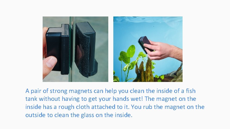 A pair of strong magnets can help you clean the inside of a fish