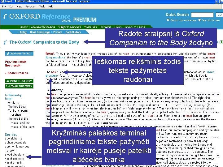 Radote straipsnį iš Oxford Companion to the Body žodyno Ieškomas reikšminis žodis tekste pažymėtas