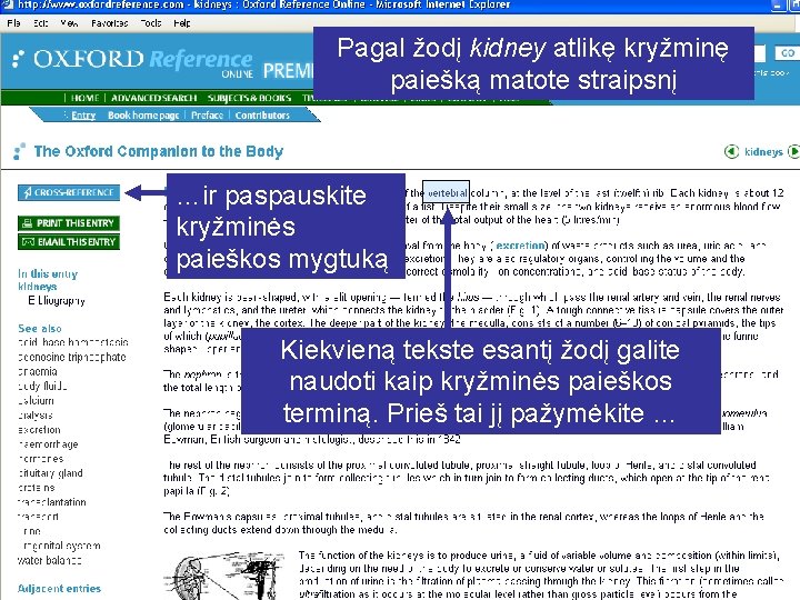 Pagal žodį kidney atlikę kryžminę paiešką matote straipsnį …ir paspauskite kryžminės paieškos mygtuką Kiekvieną