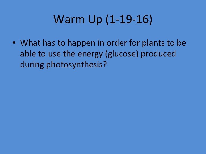 Warm Up (1 -19 -16) • What has to happen in order for plants