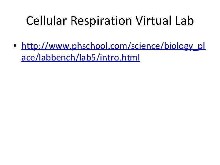 Cellular Respiration Virtual Lab • http: //www. phschool. com/science/biology_pl ace/labbench/lab 5/intro. html 