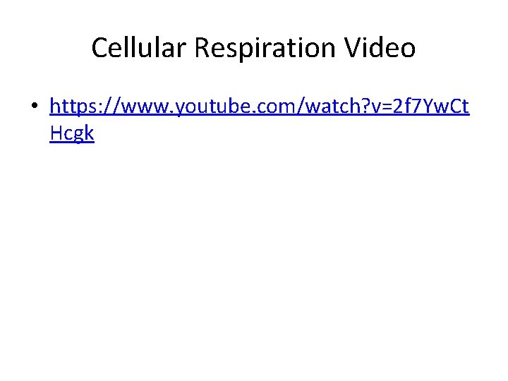 Cellular Respiration Video • https: //www. youtube. com/watch? v=2 f 7 Yw. Ct Hcgk