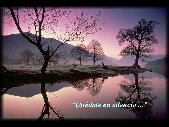 “Quédate en silencio. . . " 