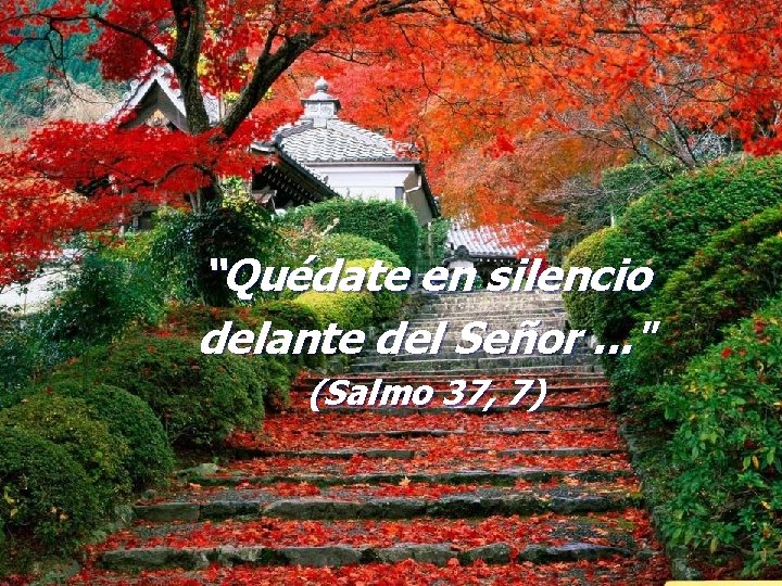 “Quédate en silencio delante del Señor. . . " (Salmo 37, 7) 