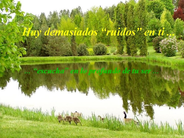 Hay demasiados “ruidos” en ti. . . “escucha” en lo profundo de tu ser.