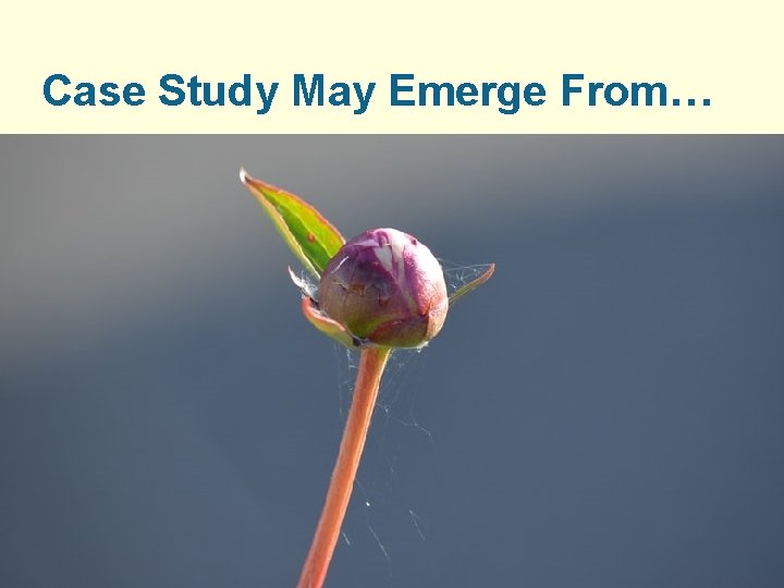 Case Study May Emerge From… 