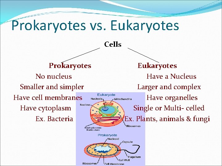 Prokaryotes vs. Eukaryotes Cells Prokaryotes No nucleus Smaller and simpler Have cell membranes Have