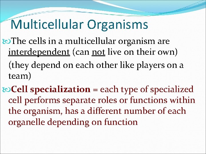 Multicellular Organisms The cells in a multicellular organism are interdependent (can not live on