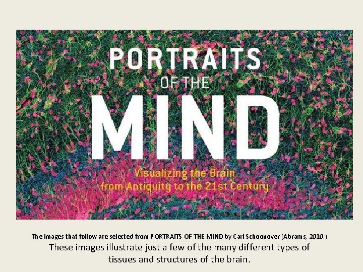 The images that follow are selected from PORTRAITS OF THE MIND by Carl Schoonover