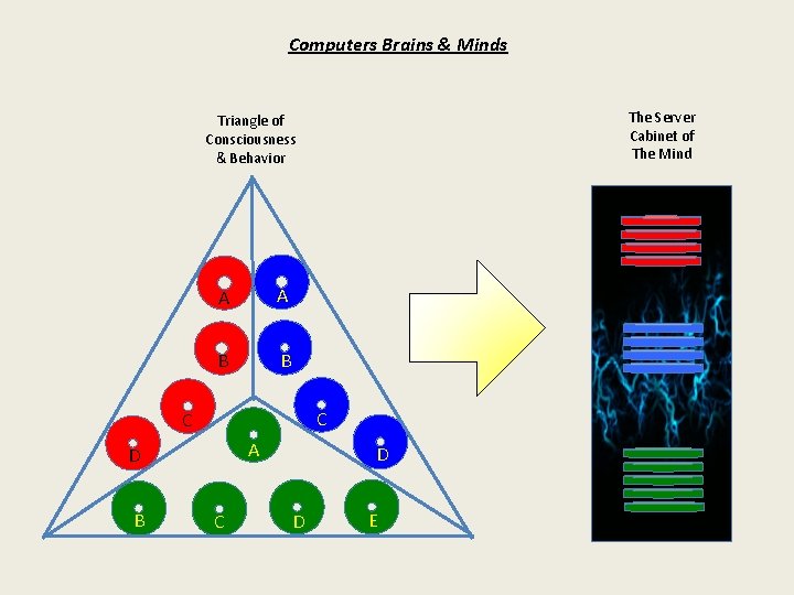 Computers Brains & Minds The Server Cabinet of The Mind Triangle of Consciousness &