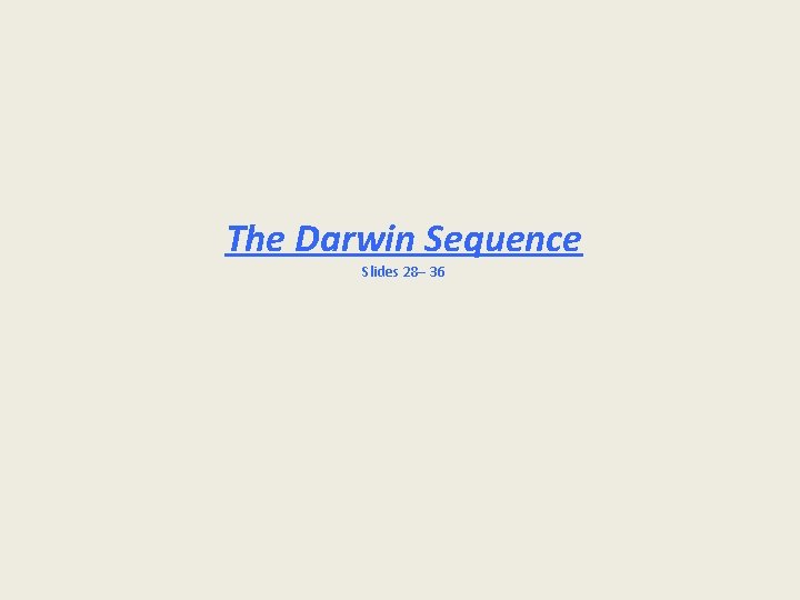 The Darwin Sequence Slides 28– 36 