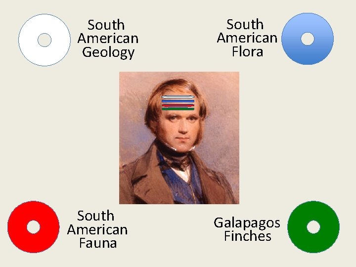 South American Geology South American Fauna South American Flora Galapagos Finches 