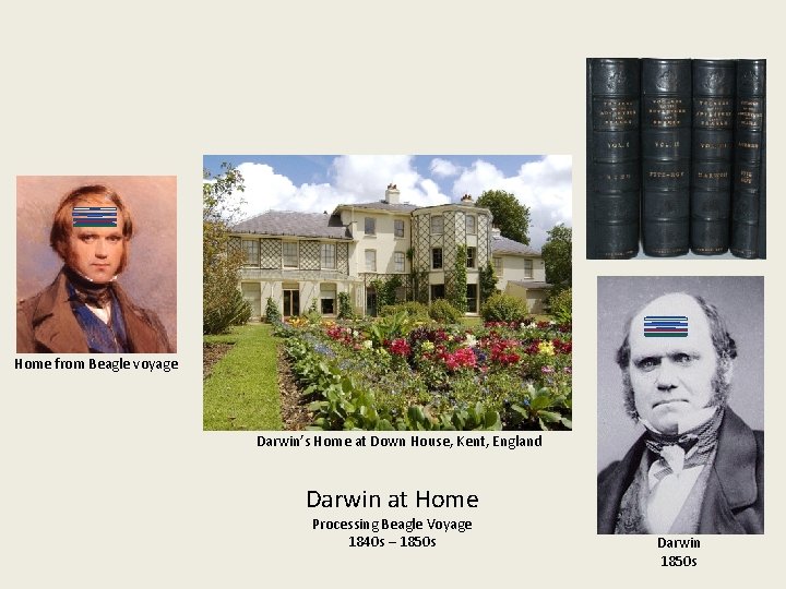 Home from Beagle voyage Darwin’s Home at Down House, Kent, England Darwin at Home