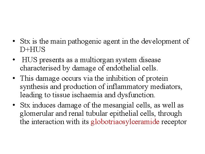  • Stx is the main pathogenic agent in the development of D+HUS •