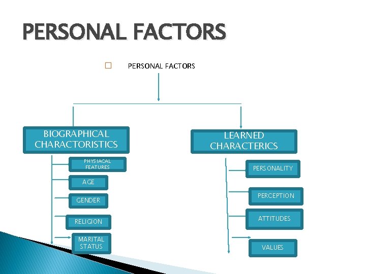 PERSONAL FACTORS � BIOGRAPHICAL CHARACTORISTICS PHYSIACAL FEATURES PERSONAL FACTORS LEARNED CHARACTERICS PERSONALITY AGE GENDER