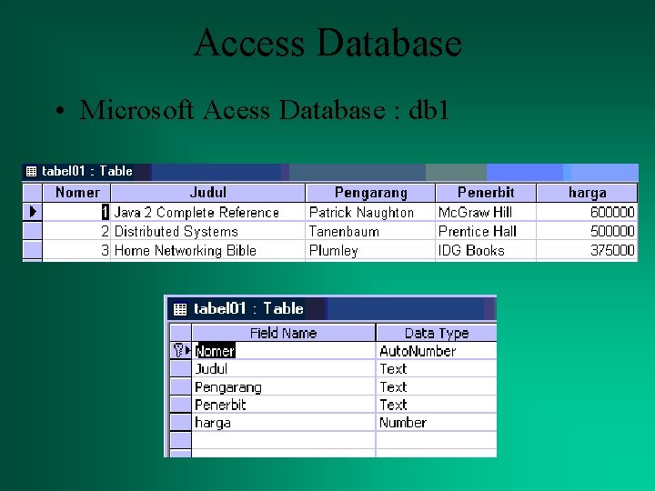 Access Database • Microsoft Acess Database : db 1 
