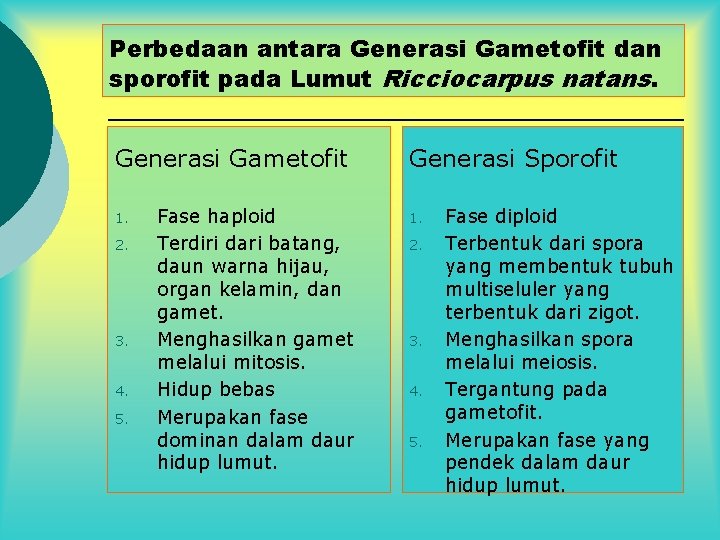 Perbedaan antara Generasi Gametofit dan sporofit pada Lumut Ricciocarpus natans. Generasi Gametofit 1. 2.