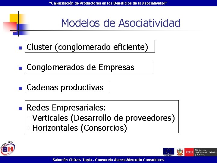 “Capacitación de Productores en los Beneficios de la Asociatividad” Modelos de Asociatividad n Cluster