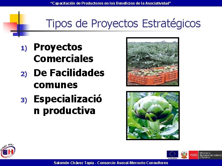 “Capacitación de Productores en los Beneficios de la Asociatividad” Tipos de Proyectos Estratégicos 1)