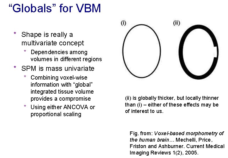 “Globals” for VBM * Shape is really a multivariate concept * Dependencies among volumes