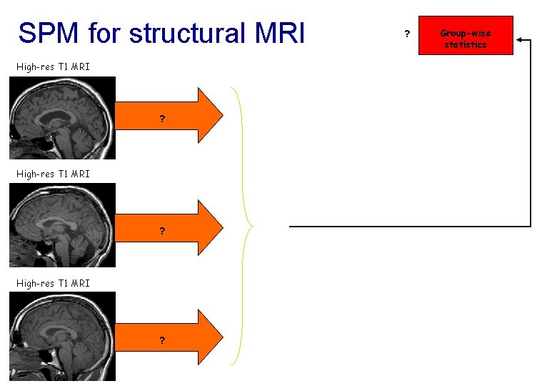 SPM for structural MRI High-res T 1 MRI ? ? Group-wise statistics 