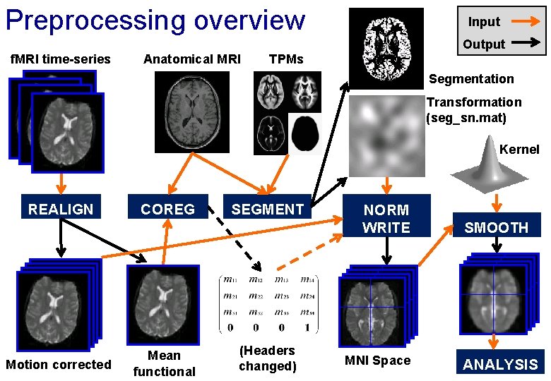 Preprocessing overview Input Output f. MRI time-series Anatomical MRI TPMs Segmentation Transformation (seg_sn. mat)