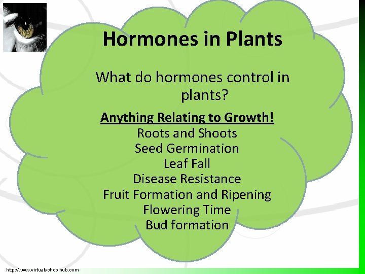 Growth Control in Plants http www virtualschoolhub com