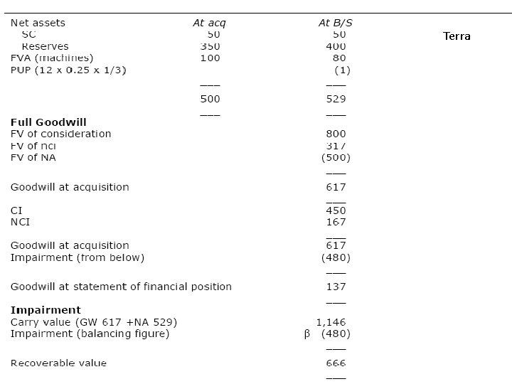 Terra Consolidated Financial Statements 