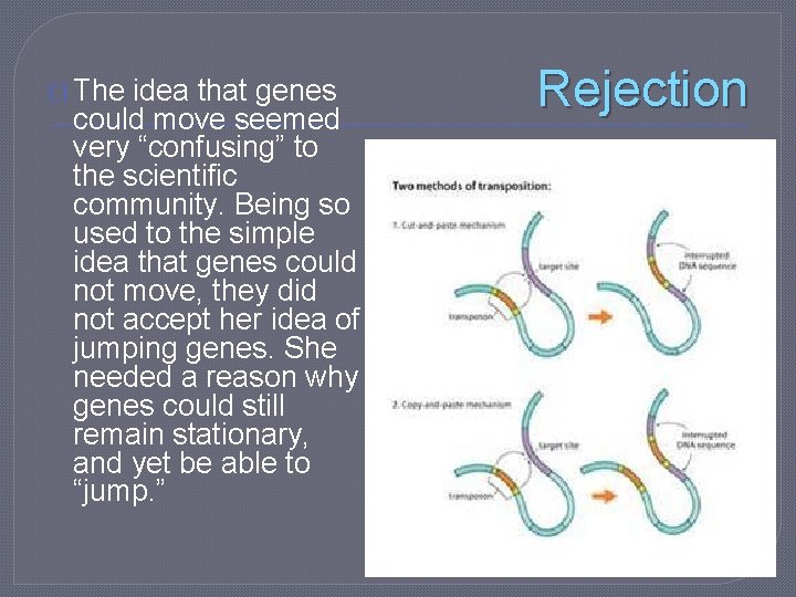 � The idea that genes could move seemed very “confusing” to the scientific community.