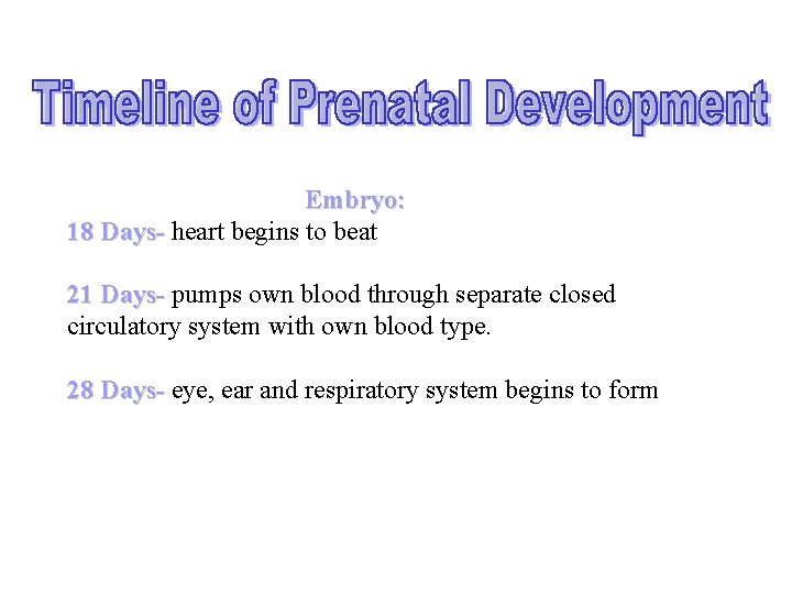 Embryo: 18 Days- heart begins to beat 21 Days- pumps own blood through separate