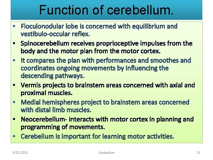 Function of cerebellum. • Floculonodular lobe is concerned with equilibrium and vestibulo-occular reflex. •