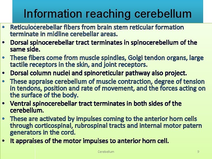 Information reaching cerebellum • Reticulocerebellar fibers from brain stem reticular formation terminate in midline