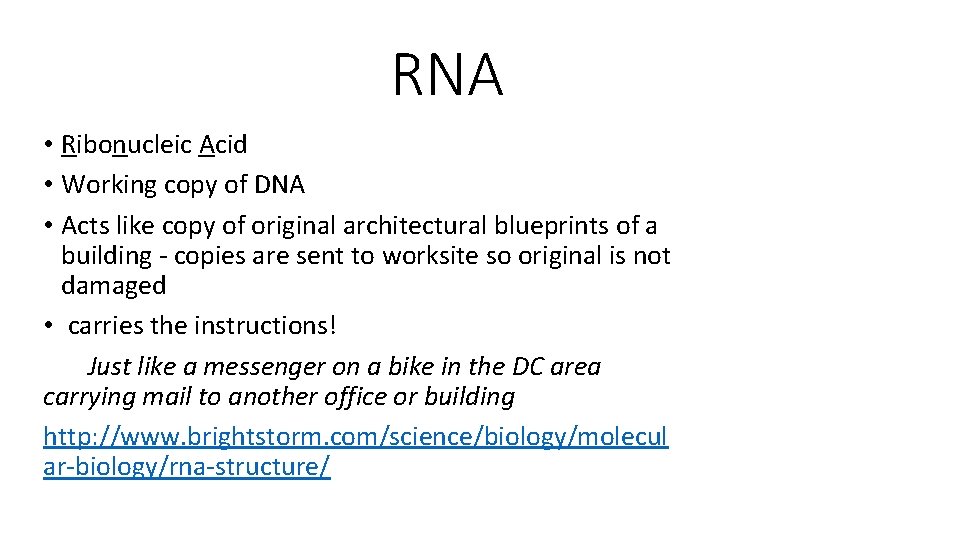 RNA • Ribonucleic Acid • Working copy of DNA • Acts like copy of