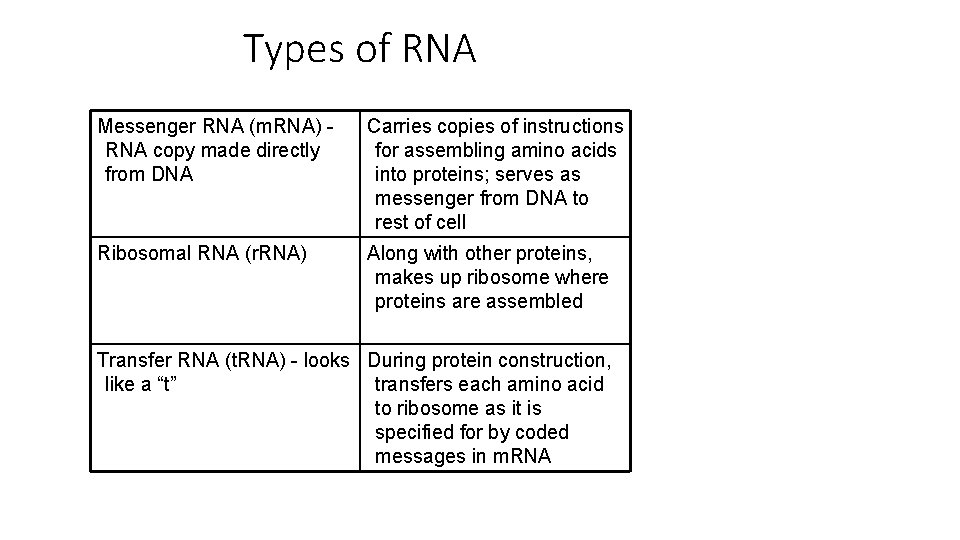 Types of RNA Messenger RNA (m. RNA) RNA copy made directly from DNA Carries