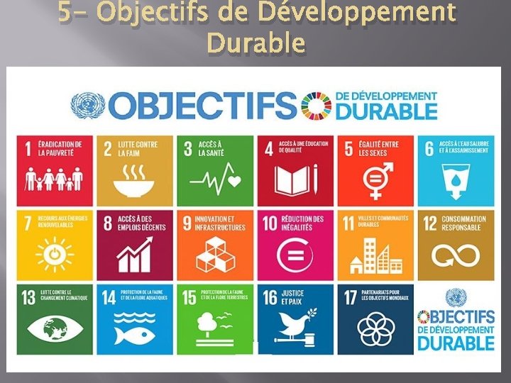 5 - Objectifs de Développement Durable 