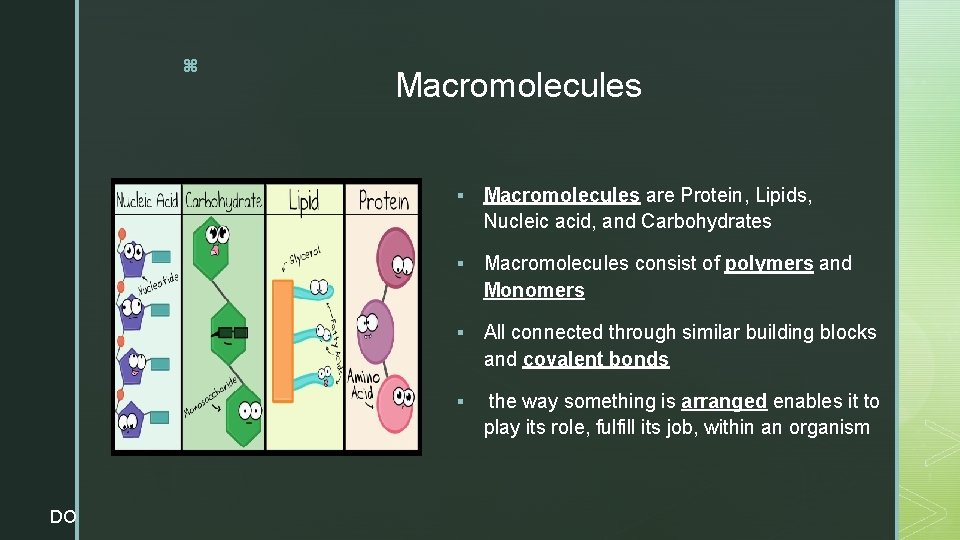 z DO Macromolecules § Macromolecules are Protein, Lipids, Nucleic acid, and Carbohydrates § Macromolecules