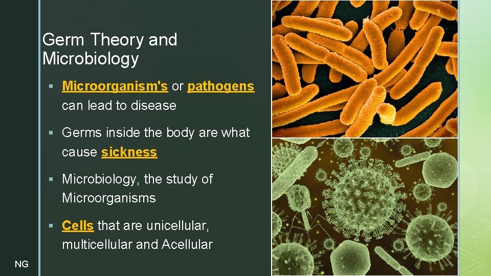z Germ Theory and Microbiology § Microorganism's or pathogens can lead to disease §