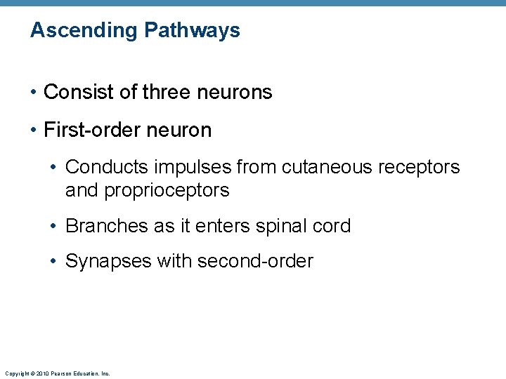 Ascending Pathways • Consist of three neurons • First-order neuron • Conducts impulses from