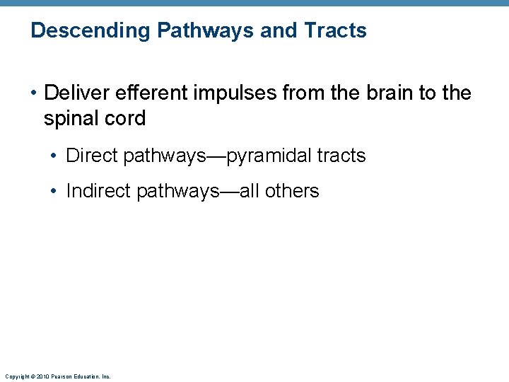 Descending Pathways and Tracts • Deliver efferent impulses from the brain to the spinal