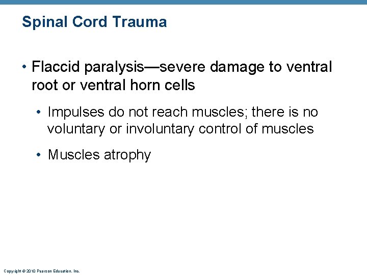 Spinal Cord Trauma • Flaccid paralysis—severe damage to ventral root or ventral horn cells