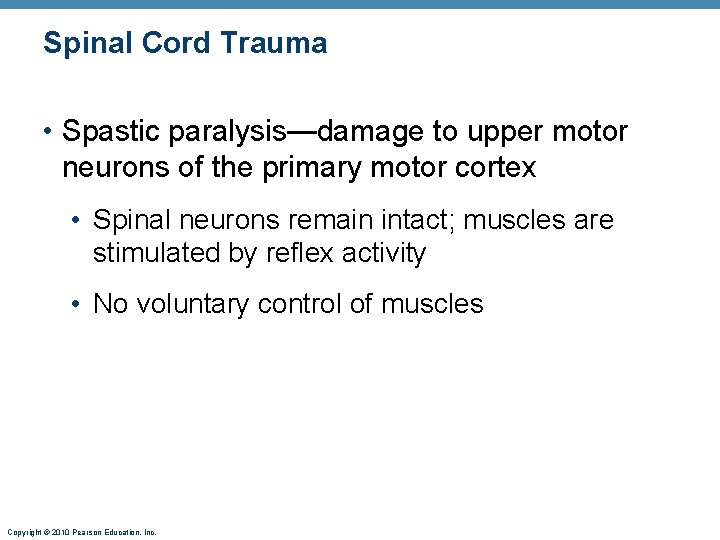 Spinal Cord Trauma • Spastic paralysis—damage to upper motor neurons of the primary motor