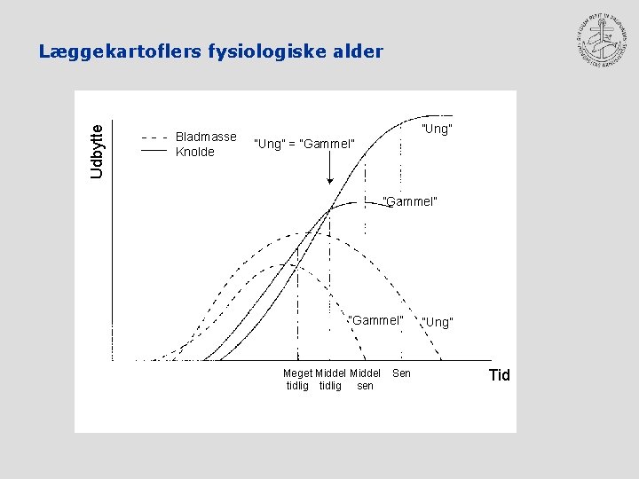 Udbytte Læggekartoflers fysiologiske alder Bladmasse Knolde ”Ung” = ”Gammel” Meget Middel tidlig sen Sen