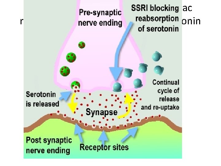 Draw a diagram to show prozac reverses the problem with the serotonin synapse 