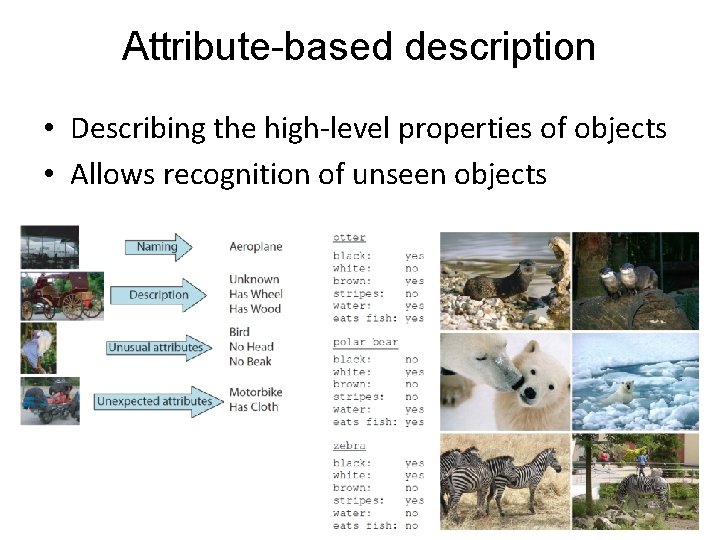 Attribute-based description • Describing the high-level properties of objects • Allows recognition of unseen