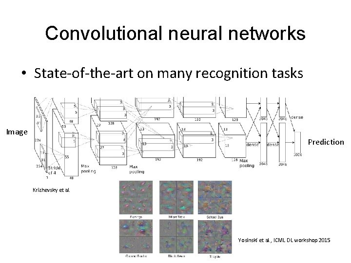 Convolutional neural networks • State-of-the-art on many recognition tasks Image Prediction Krizhevsky et al.
