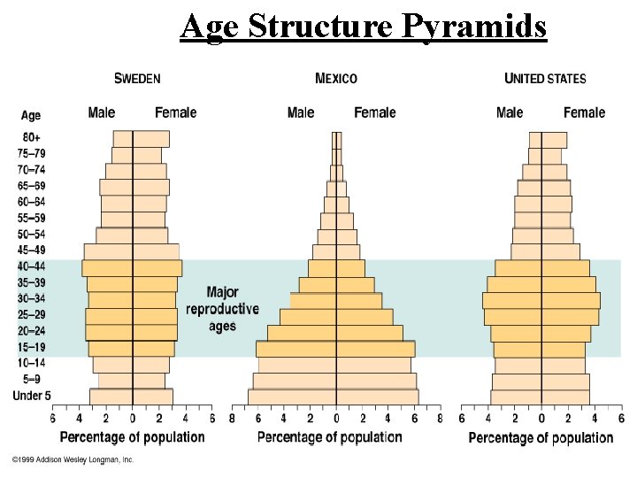 Age Structure Pyramids 