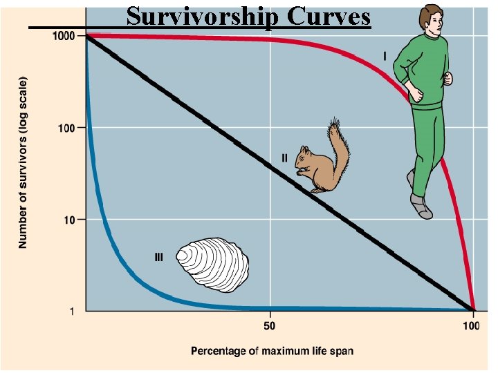 Survivorship Curves 