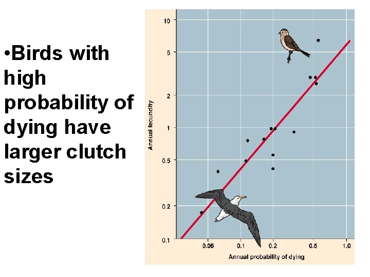  • Birds with high probability of dying have larger clutch sizes 