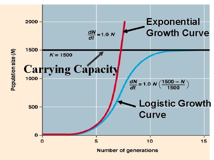 Exponential Growth Curve Carrying Capacity Logistic Growth Curve 