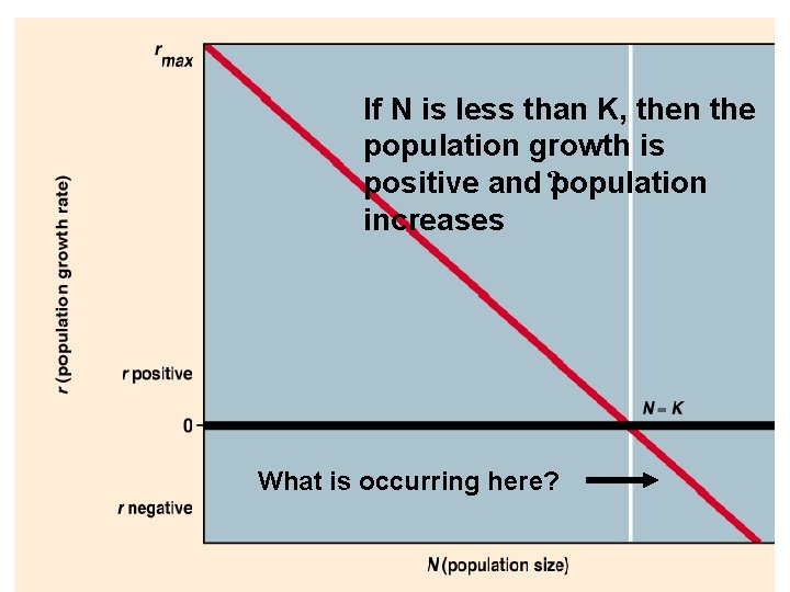 If N is less than K, then the population growth is positive and ?